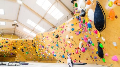 高知県のクライミング施設「Stone LAV（ストーンラブ） 南川添店」